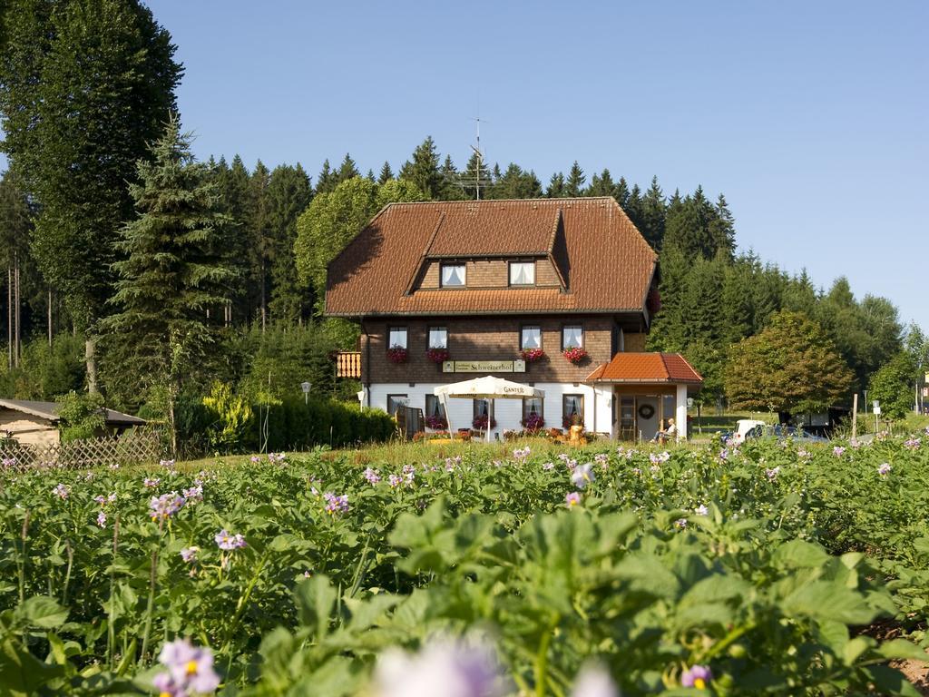 Schweizerhof Titisee-Neustadt